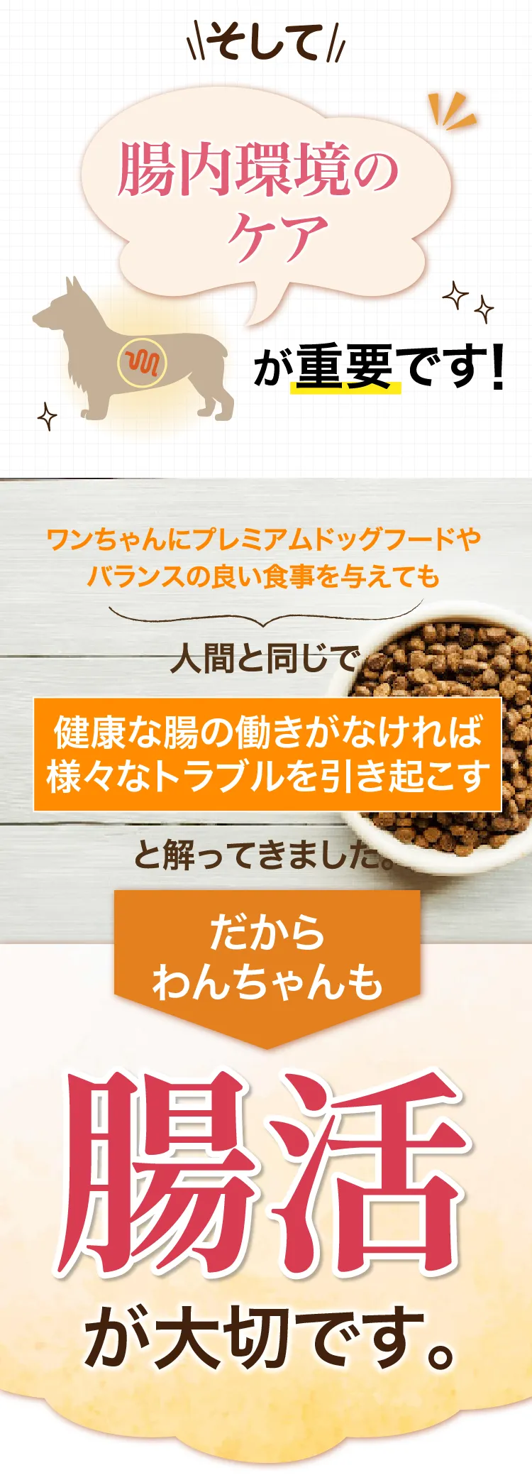 愛犬の健康を守れるのはあなただけです！健康な腸の働きがなければ消化吸収できないと解ってきました。だから腸活が注目されているのです。