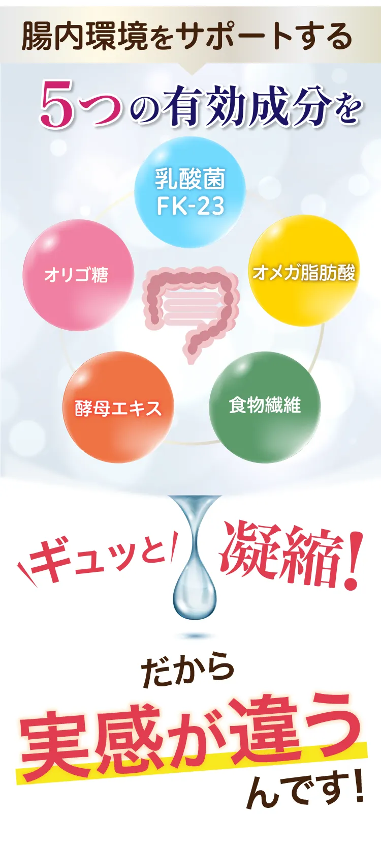 腸内環境をサポートする5つの有効成分をギュッと凝縮！だから実感が違うんです！