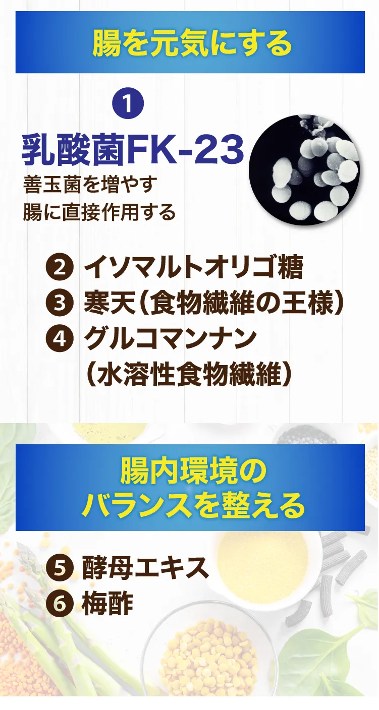 腸を元気にする　腸内環境のバランスを整える