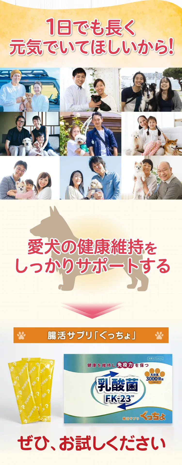 1日でも長く元気でいてほしいから愛犬の健康維持をしっかりサポートする愛犬用サプリ「ぐっちょ」を今すぐお試しください。