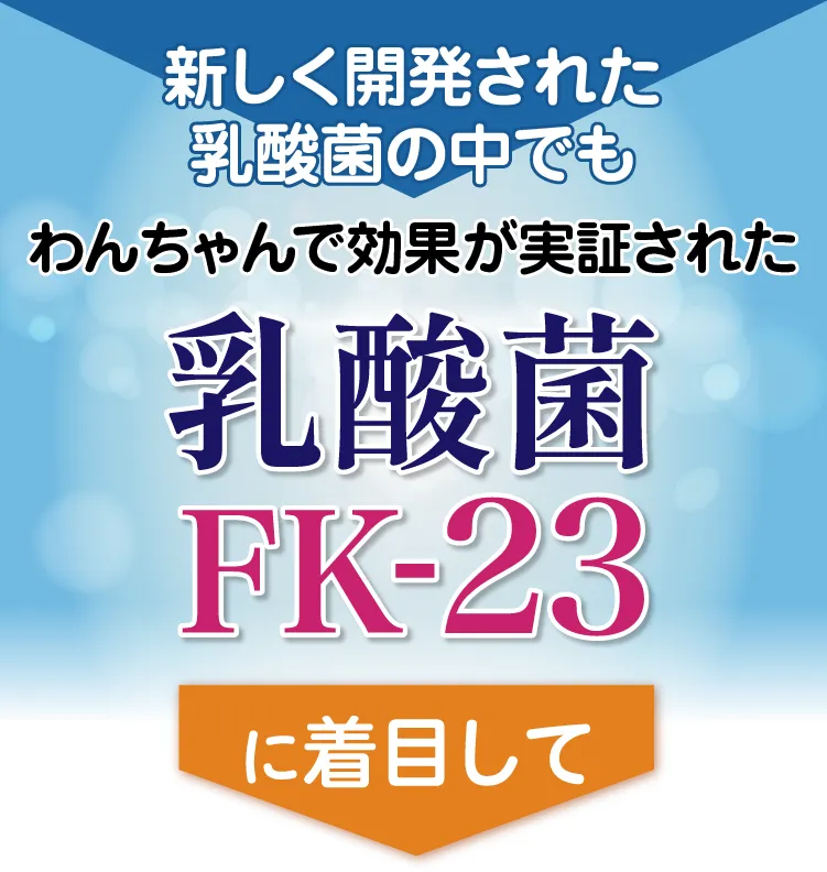 ワンちゃんで効果が実証された乳酸菌FK-23に注目して腸活、腸内環境、長寿をサポートする愛犬用サプリ「ぐっちょ」を作りました。