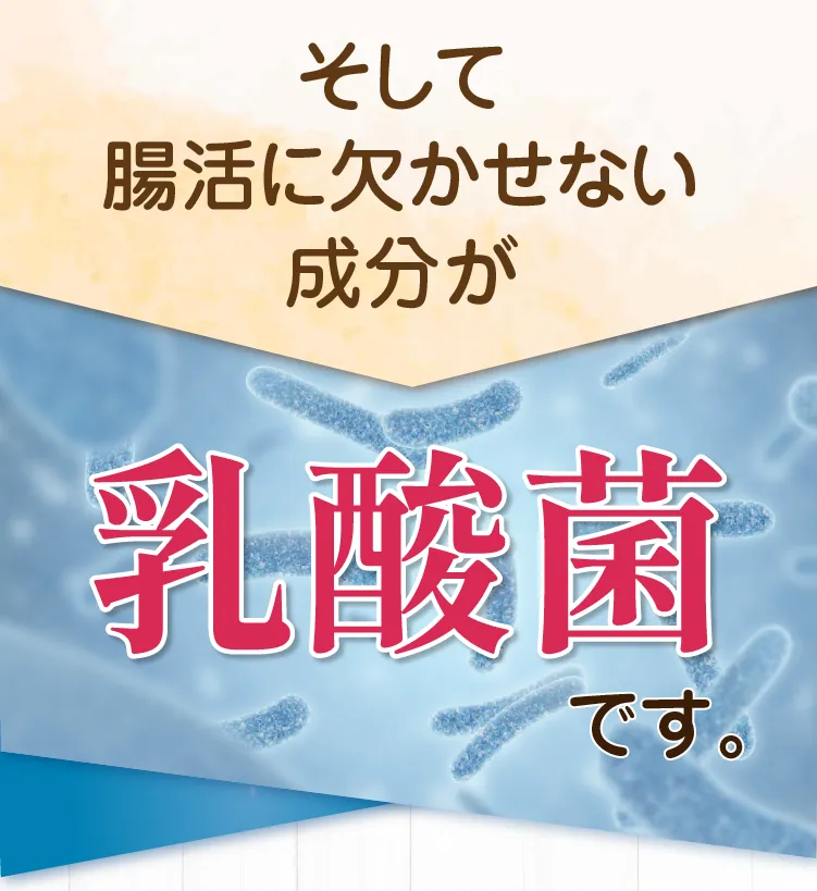 そして腸活には欠かせないのが乳酸菌