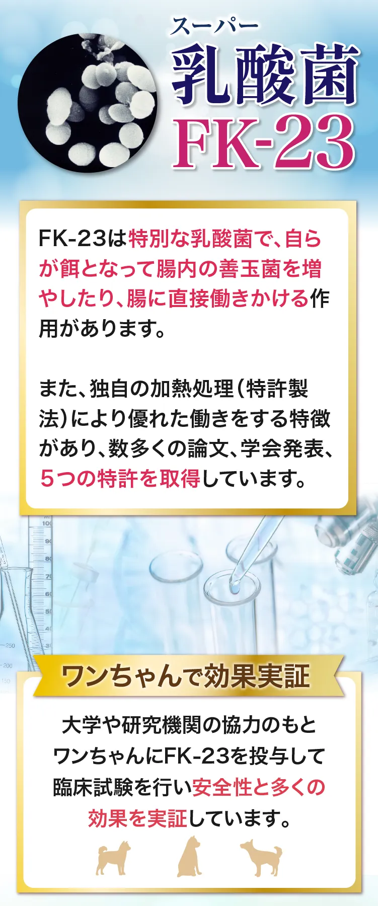 腸内環境をケアする乳酸菌FK-23が凄い！