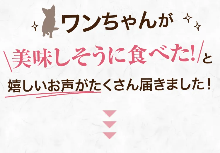 ワンちゃんが問題なく食べてた！と嬉しいお声を頂きました！