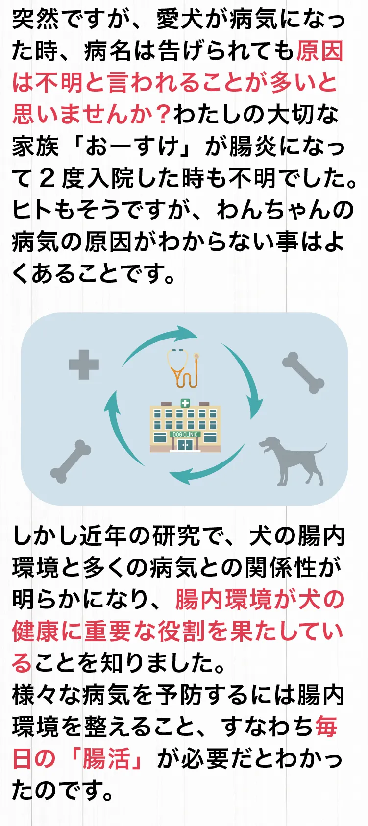 開発担当：池田伸一　愛犬「おーすけ」　きっかけは原因不明の病でした。