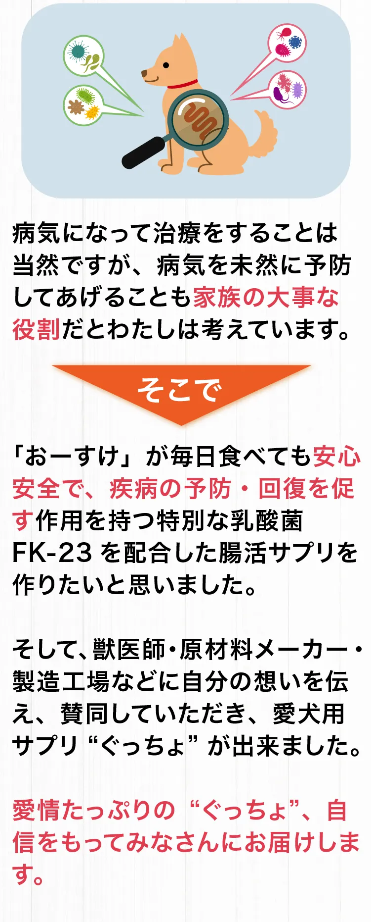 「どんなに高品質な食べ物やバランスの良い食事を与えても、消化吸収できる腸内環境がなければ健康は維持できない」という結論に達しました。そこで、我が子に毎日与えても安心安全で、腸内環境を改善する乳酸菌サプリを探したのですが、残念ながら満足できる商品を見つけることが出来ませんでした。「だったら、自分で作るしかない！」と決意を固め、獣医師・原材料メーカー・製造工場などに自分の想いを伝え、賛同していただき、愛犬用サプリ「ぐっちょ」を商品化することになりました。