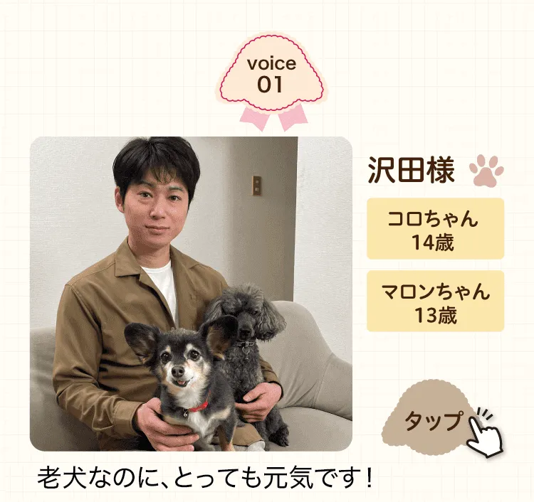 老犬なのにとっても健康です！